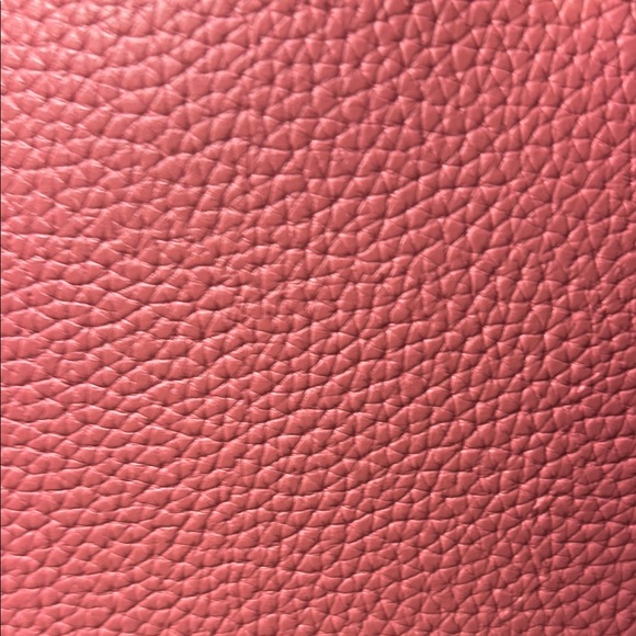 Steve Madden Pink Mini Bag with Gold Accents - Picture 7 of 9